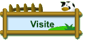 Visite
